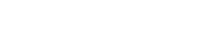 DD Practical Logo